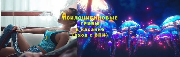 соль ск Алексеевка